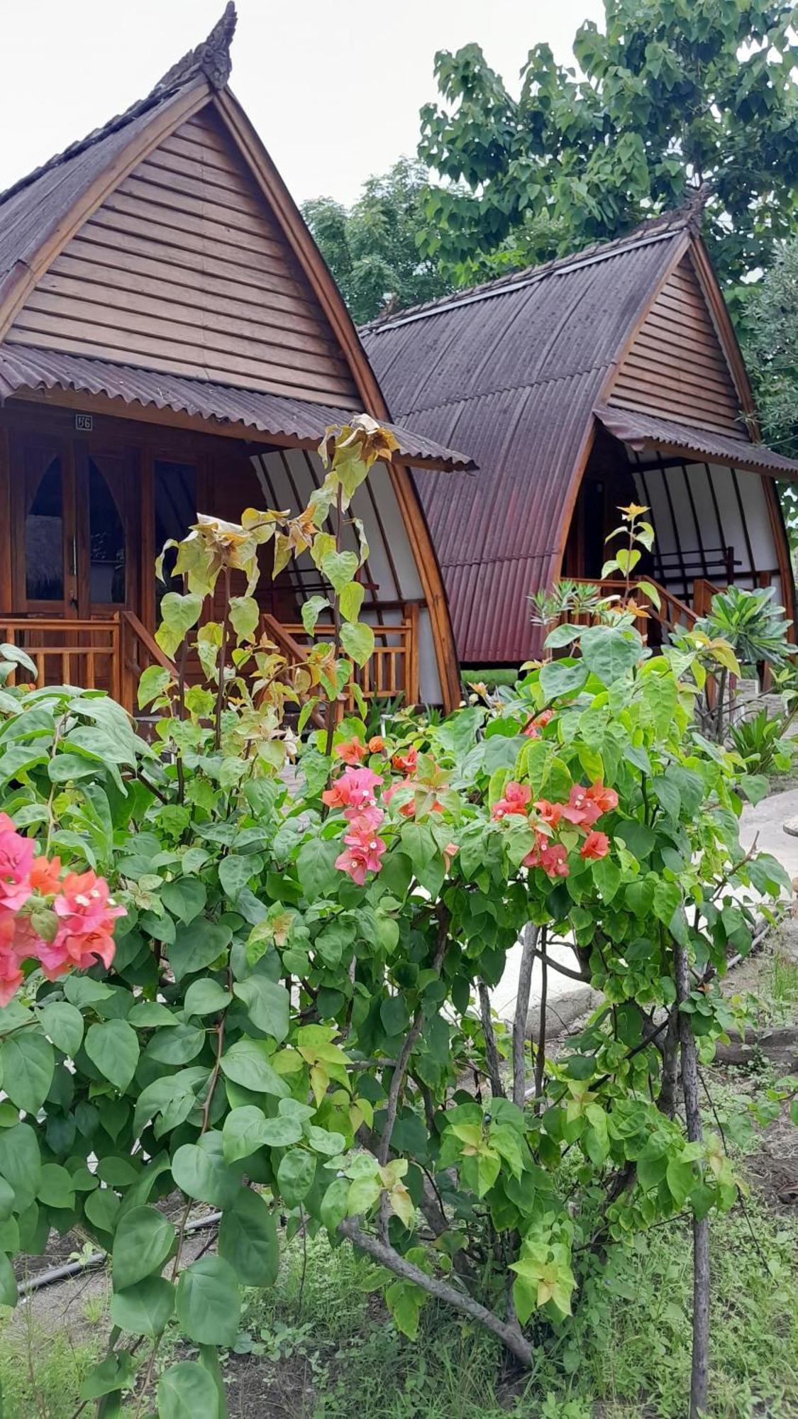 We'Be Cottages Gili Meno Room photo
